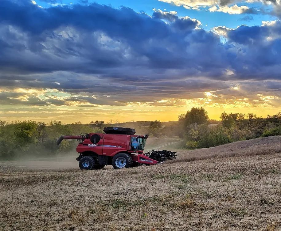 harvesting in the middle of the field-1